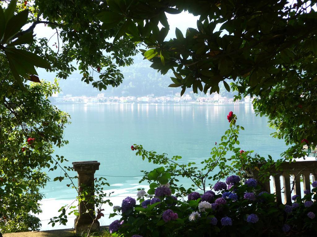 Residence Ville Lago Lugano ポルト・チェレージオ エクステリア 写真